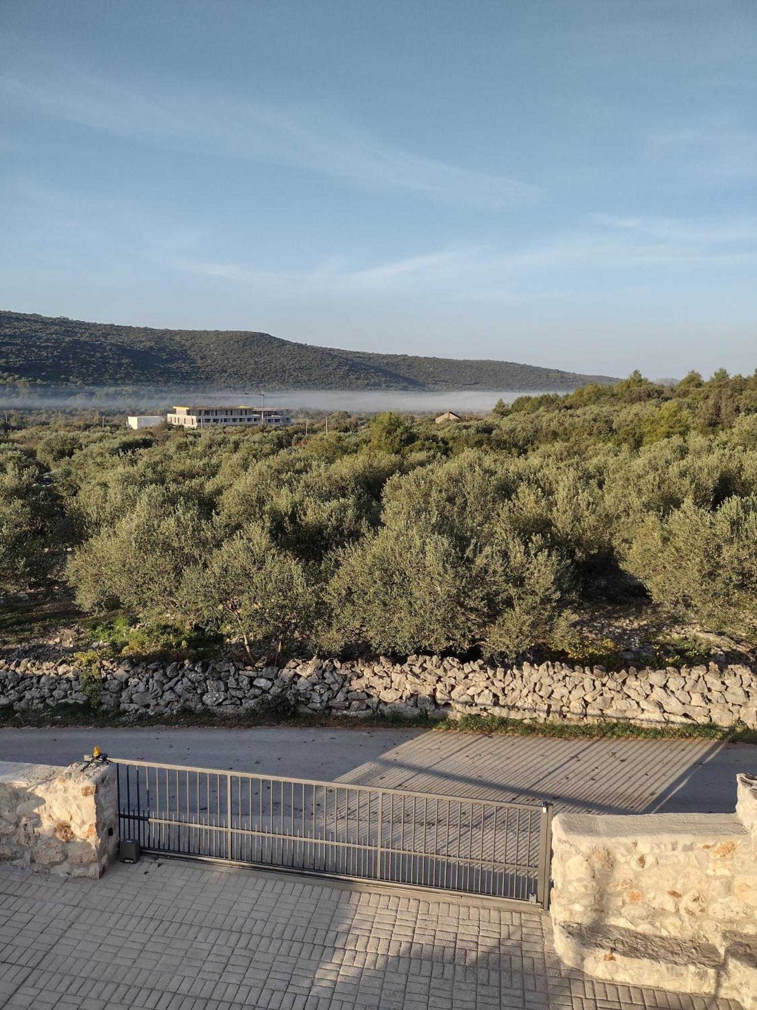 Apartment Olea Marina Buitenkant foto
