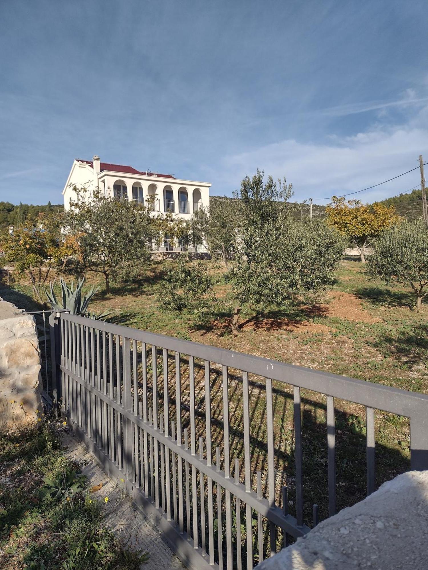 Apartment Olea Marina Buitenkant foto
